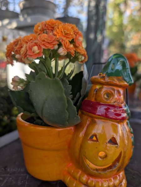 COMPO-BOUGIE-HALLOWEEN avec une fausse bougie qui s allume COMPO-BOUGIE-HALLOWEEN avec une fausse bougie qui s allume