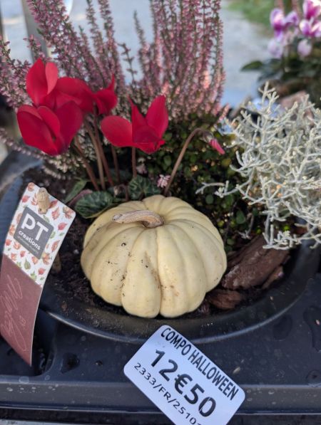 COMPO-HALLO COMPO-HALLO