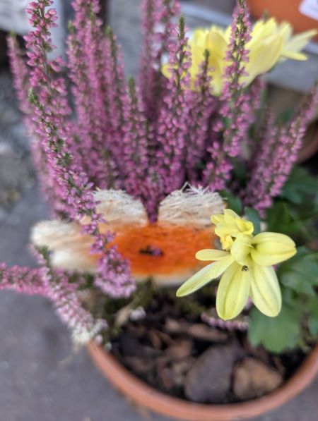 COMPO-HALLOWEEN- 6€ COMPO-HALLOWEEN- 6€