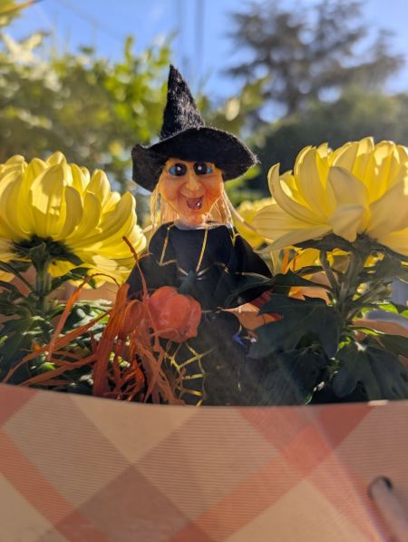 COMPO-HALLOWEEN 5€ COMPO-HALLOWEEN 5€