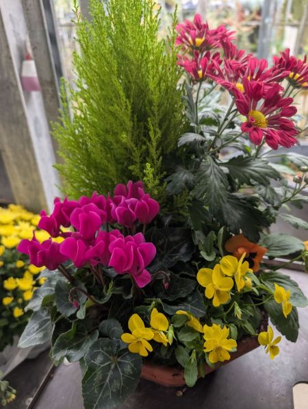 COMPO-TOUSSAINT-    x2=19€90 et x1=25€