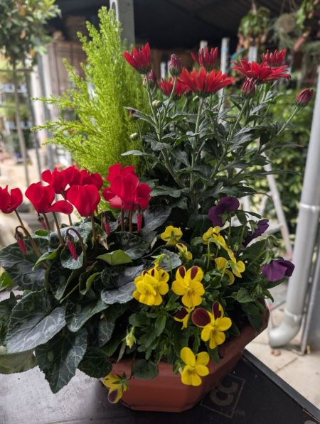 COMPO-TOUSSAINT    x2=19€90 et x1=25€