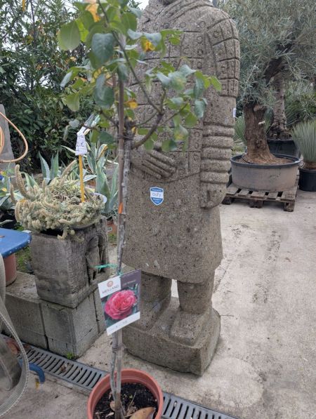 ROSIER-SUR-TIGE ROSIER-SUR-TIGE