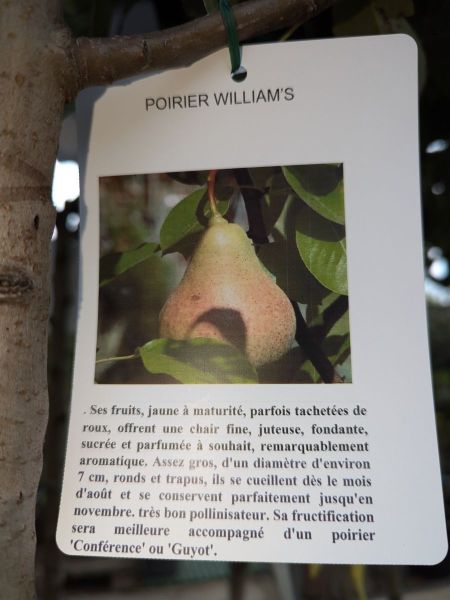 FRUITIER-POIRIER-WILLAM FRUITIER-POIRIER-WILLAM