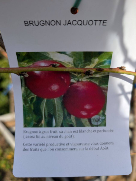 FRUITIER-BRUGNON-JACQUOTTE