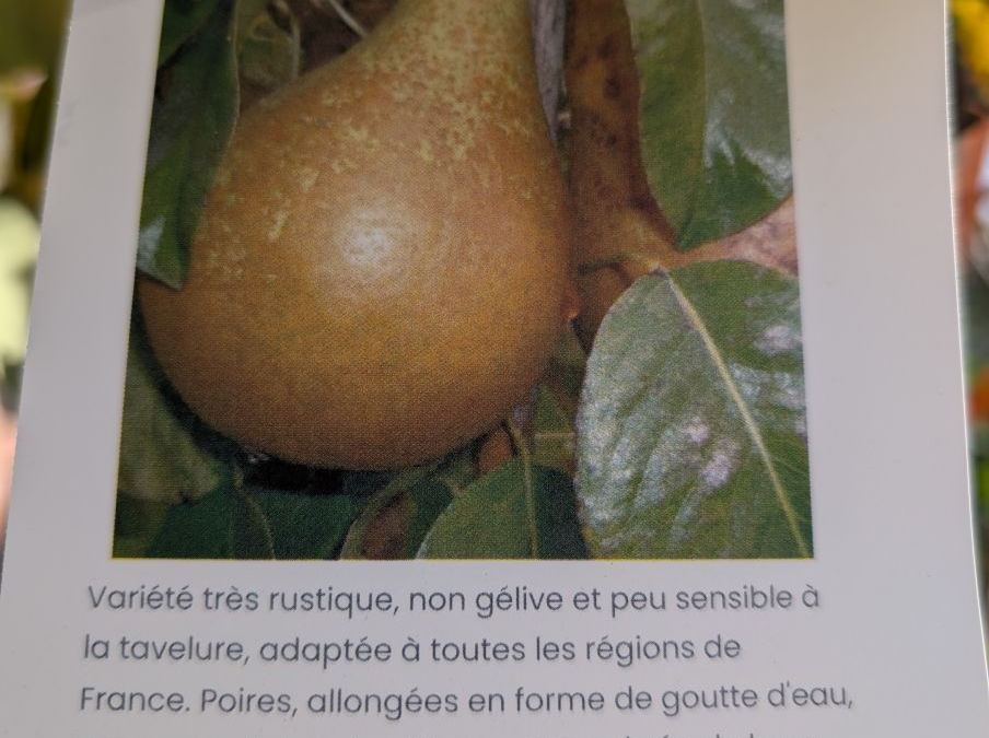 FRUITIER-POIRIER-CONFERENCE