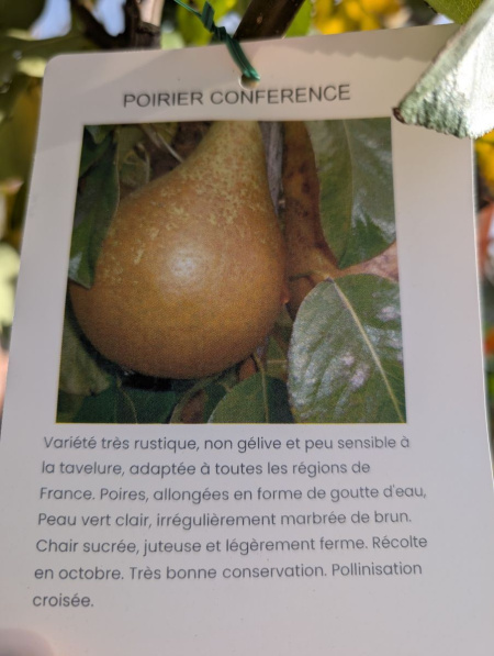 FRUITIER-POIRIER-CONFERENCE