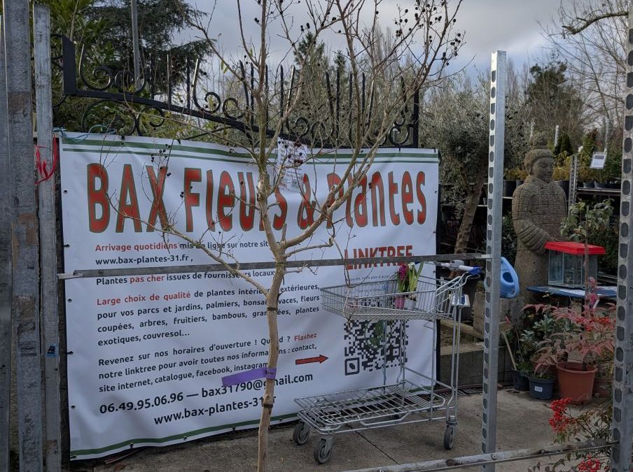 LILAS-DES-INDES- 149€