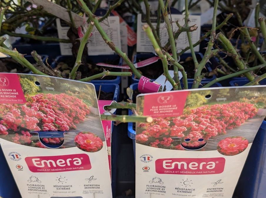 Rosier couvre-sol Déco   x3=15€ et x1=17€50