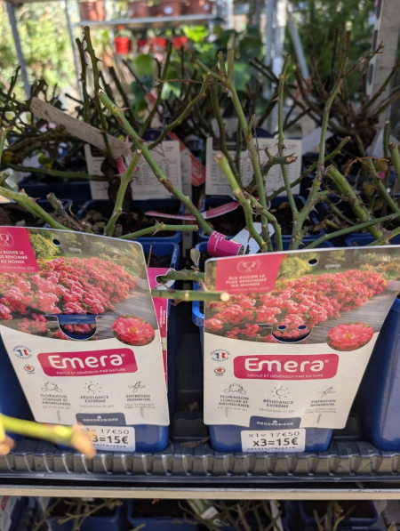 Rosier couvre-sol Déco   x3=15€ et x1=17€50