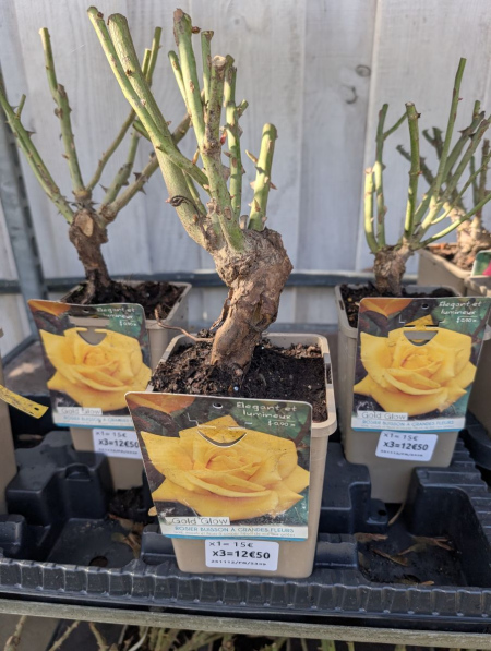 ROSIER x3 = 12€50 et x1=15€