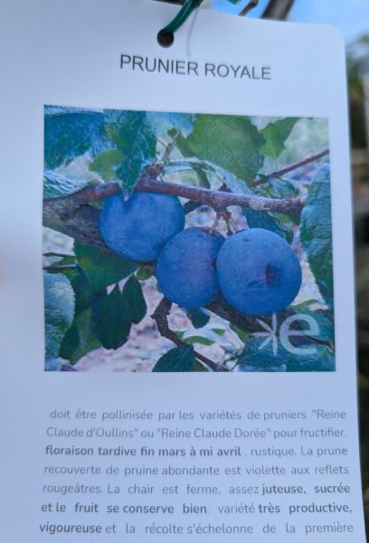 FRUITIER-PRUNIER-ROYAL FRUITIER-PRUNIER-ROYAL