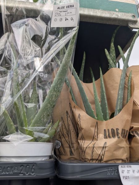 ALOE VERA 5€ ALOE VERA 5€