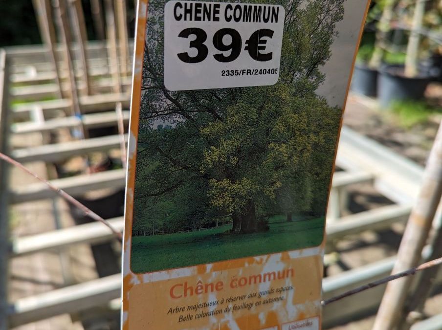 CHENEN-COMMUN
