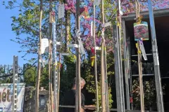 LILAS-DES-INDES-XL