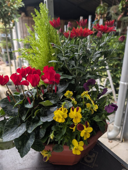 COMPO-TOUSSAINT    x2=19€90 et x1=25€