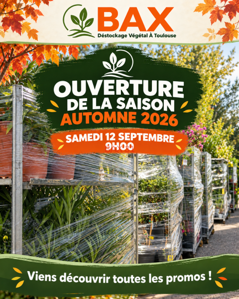 OUVERTURE