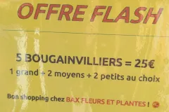 PXL_20260913_091611778