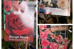 ROSIER-GRIMPANT-EXTRA x1=39€ et par 2=35€ l'unité