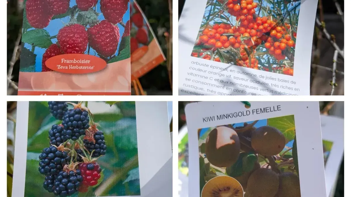 PETIT-FRUITS-JARDIN-GOURMAND à partir de 12€50 PETIT-FRUITS-JARDIN-GOURMAND à partir de 12€50