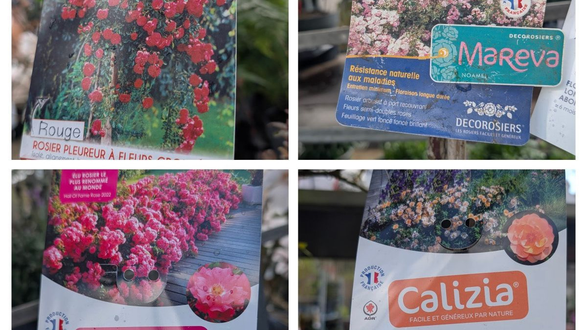 ROSIER-SUR-TIGE ROSIER-SUR-TIGE