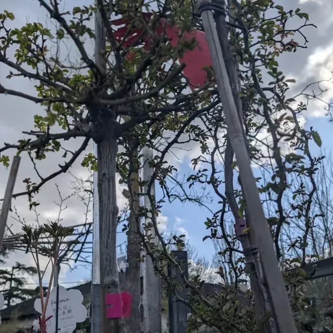 ROSIER-SUR-TIGE ROSIER-SUR-TIGE