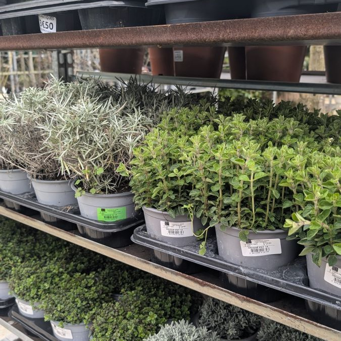 AROMATIQUES 3€50 AROMATIQUES 3€50