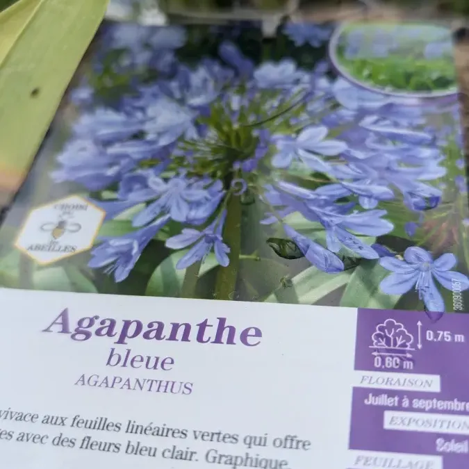 PXL_20260325_163422785_27_03_2026