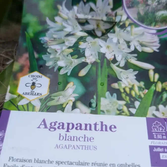 PXL_20260325_163431342_27_03_2026