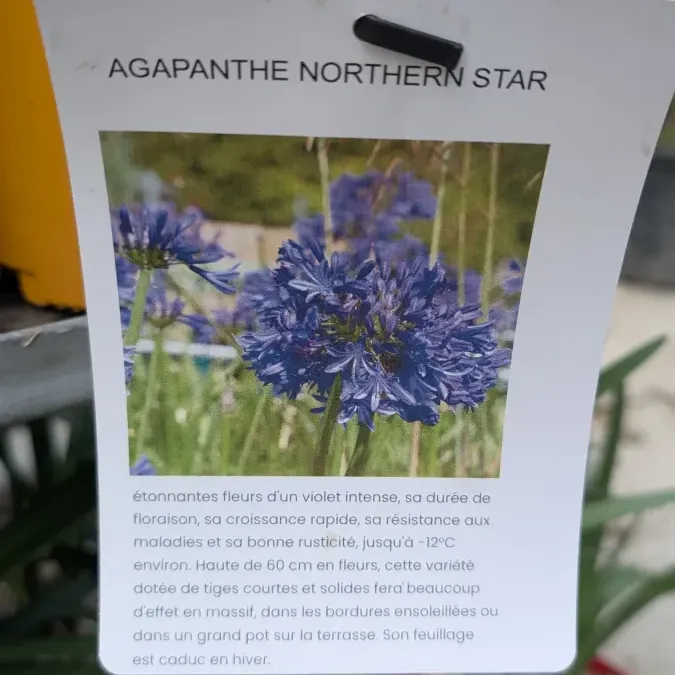 PXL_20260325_163434696_27_03_2026