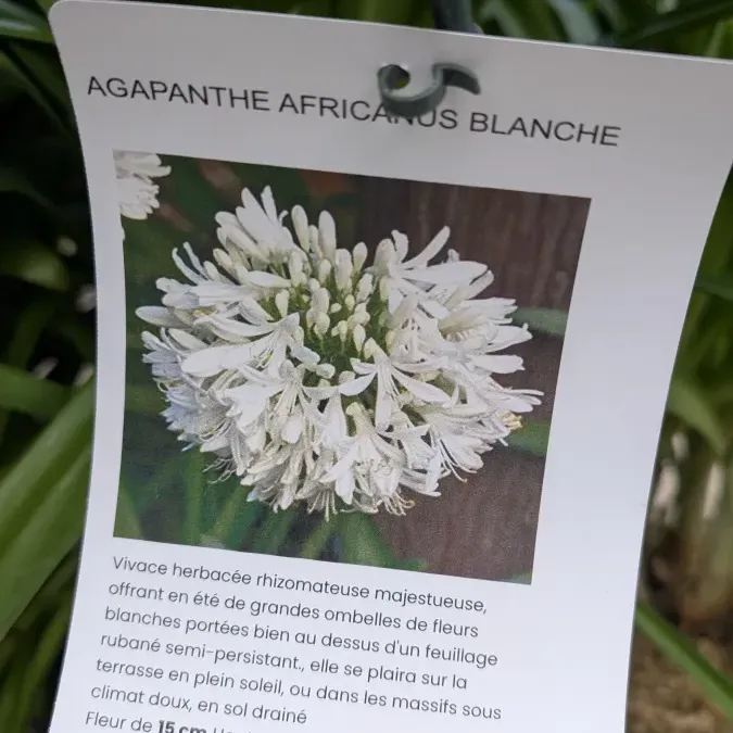 PXL_20260325_163441898_27_03_2026