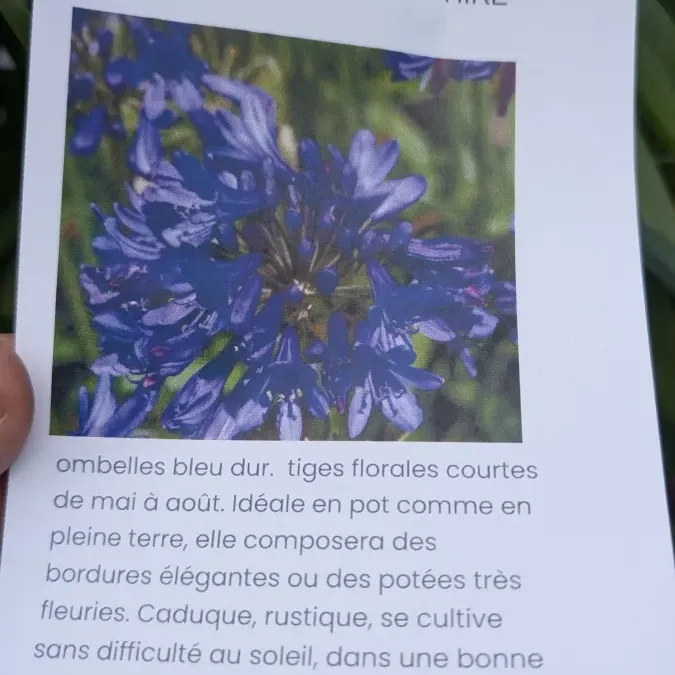 PXL_20260325_163453850_27_03_2026