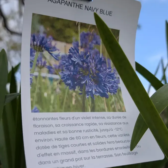 PXL_20260325_163459023_27_03_2026