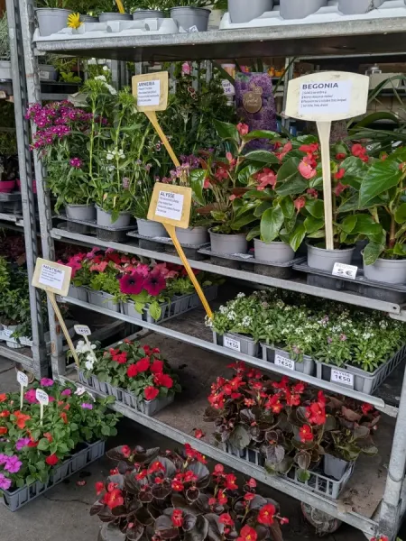 FLEURI- DIVERS  1€50 Le godet