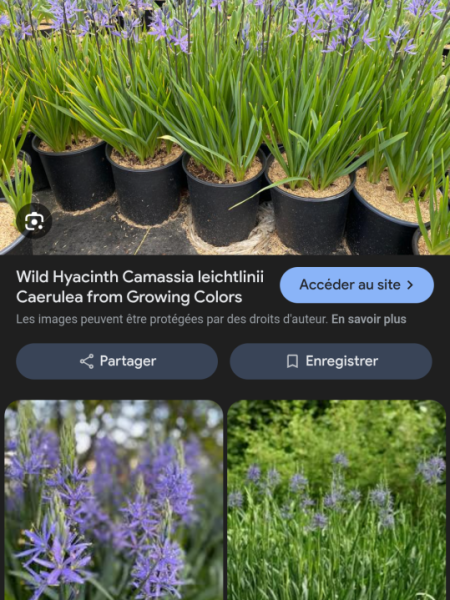 Screenshot_20260415-161649