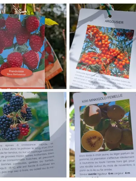 PETIT-FRUITS-JARDIN-GOURMAND à partir de 12€50