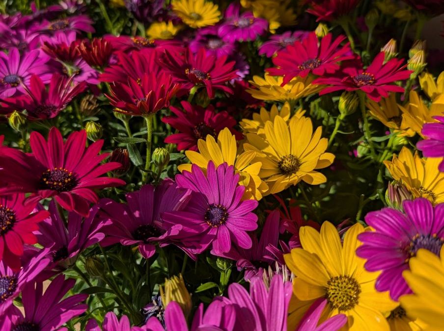 PXL_20250503_082022020