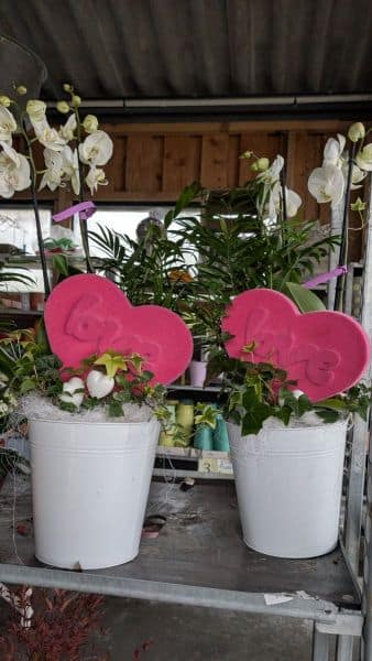 COMPO-ST-VALENTIN   39€