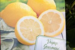 agrume-citron-4-saison agrume-citron-4-saison