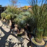 AMENAGEMENT-PISCINE-ET-JARDIN-SEC