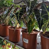 PXL_20220910_080449392