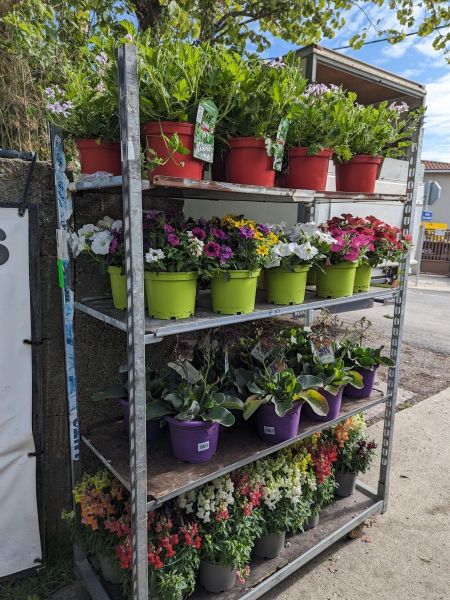 ARRIVAGE-FLEURI-ET-ANTIMOUSTIQUE