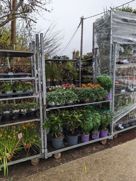 ARRIVAGE-FLEURI