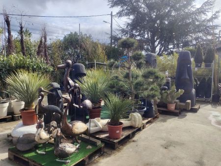 BAX-DESTOCKAGE-DE-PLANTES