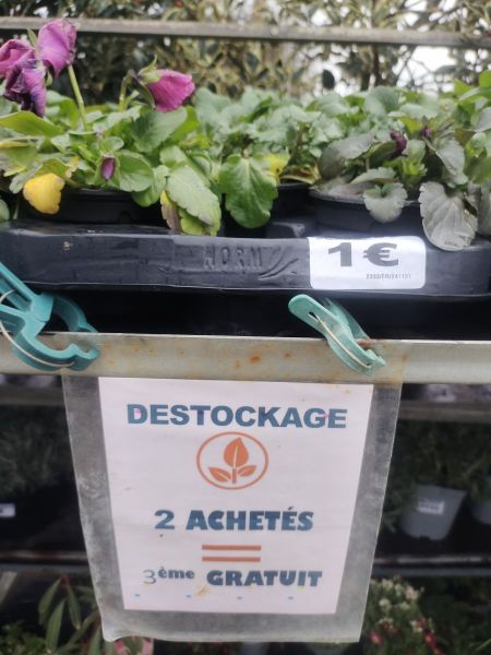 DESTOCKAGE PENSEE