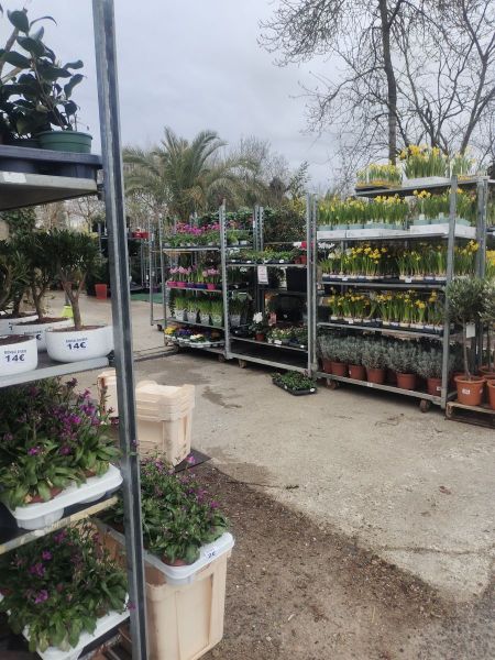 DESTOCKAGE MASSIF DE FLEURI