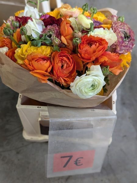 ARRIVAGE-FLEURS-COUPEES-