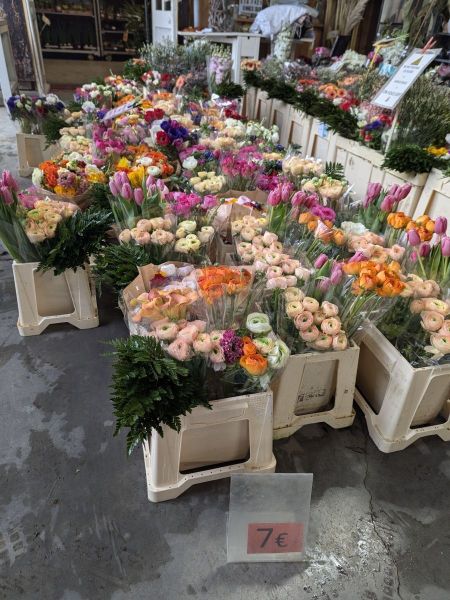 ARRIVAGE-FLEURS-COUPEES-14