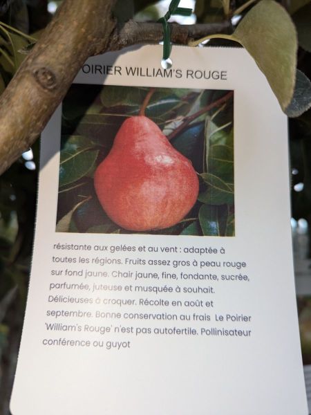 FRUITIER-POIRIER-WILLIAM-ROUGE FRUITIER-POIRIER-WILLIAM-ROUGE