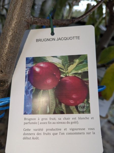 FRUITIER-RUGNON FRUITIER-RUGNON